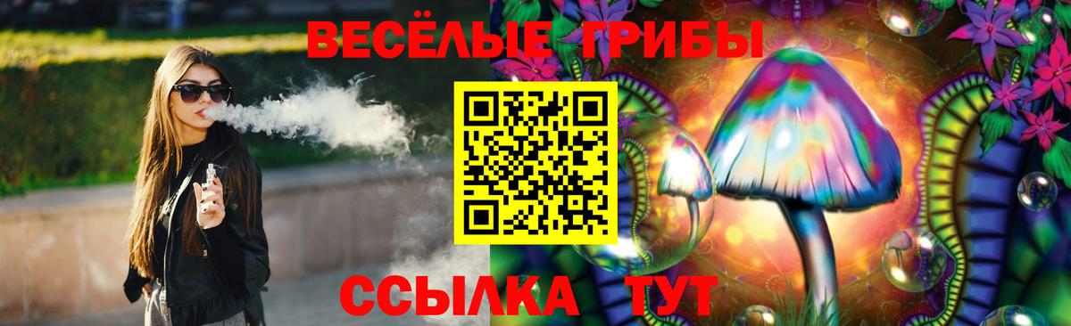 Галлюциногенные грибы Psilocybe Ростов Великий